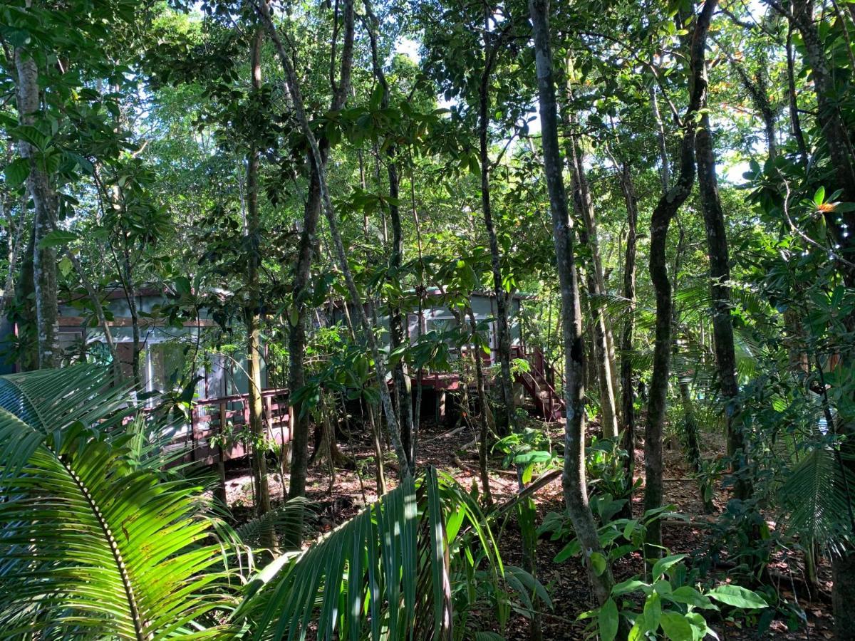 Lusia'S Lagoon Chalets Salelologa Экстерьер фото
